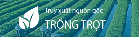 Ngành trồng trọt và bảo vệ thực vật